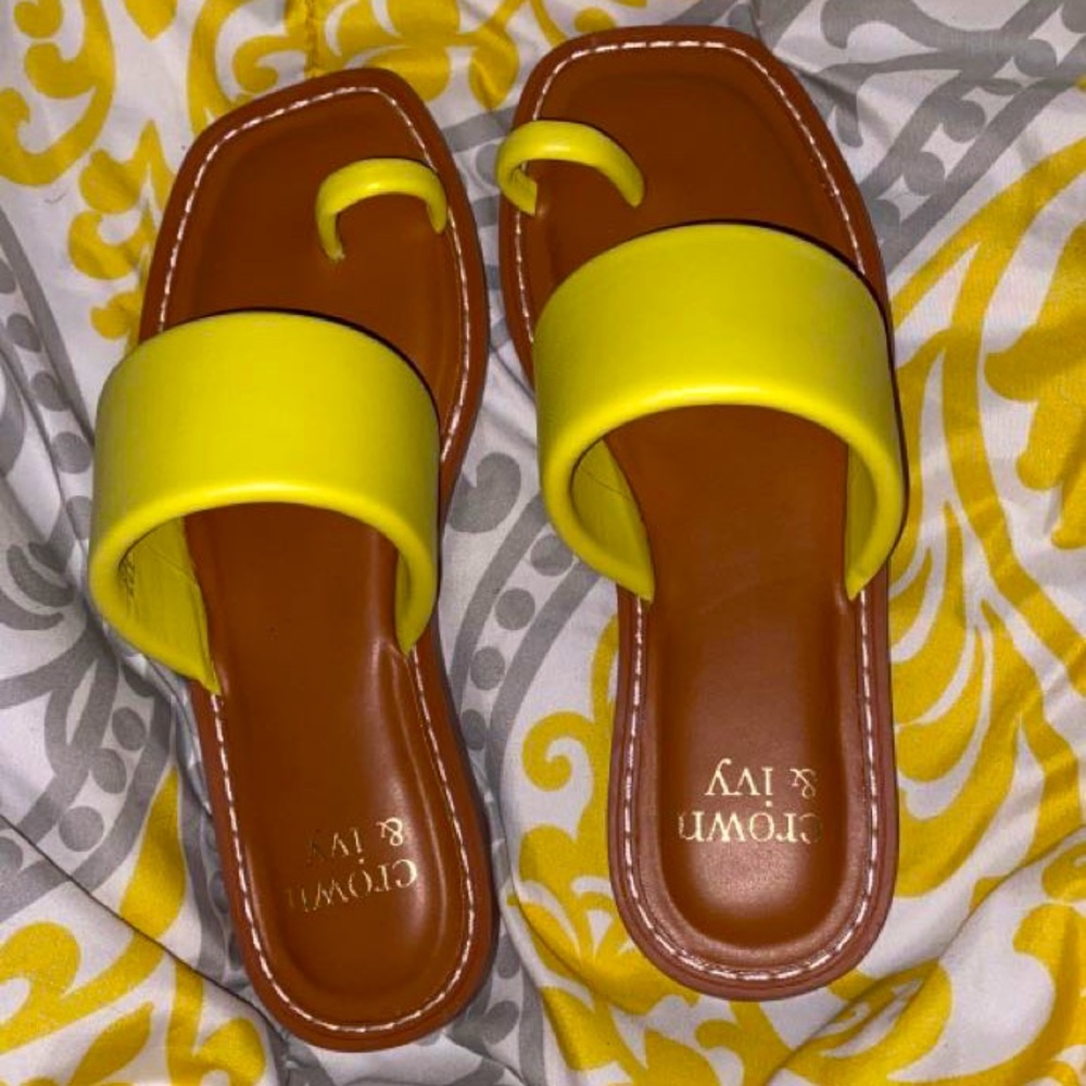 Crown ivy (size 6)